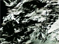 /album/galeria49/talco-ldn-jpg/